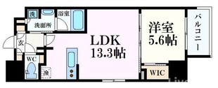 Dimus北浜の物件間取画像